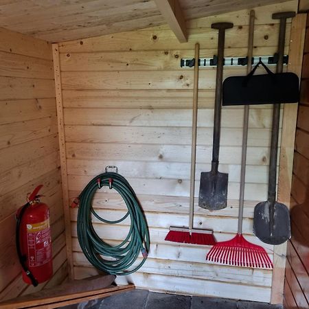 Nieuw - Luxe Blokhut Chalet In Bosrijke Omgeving Anloo Exteriör bild