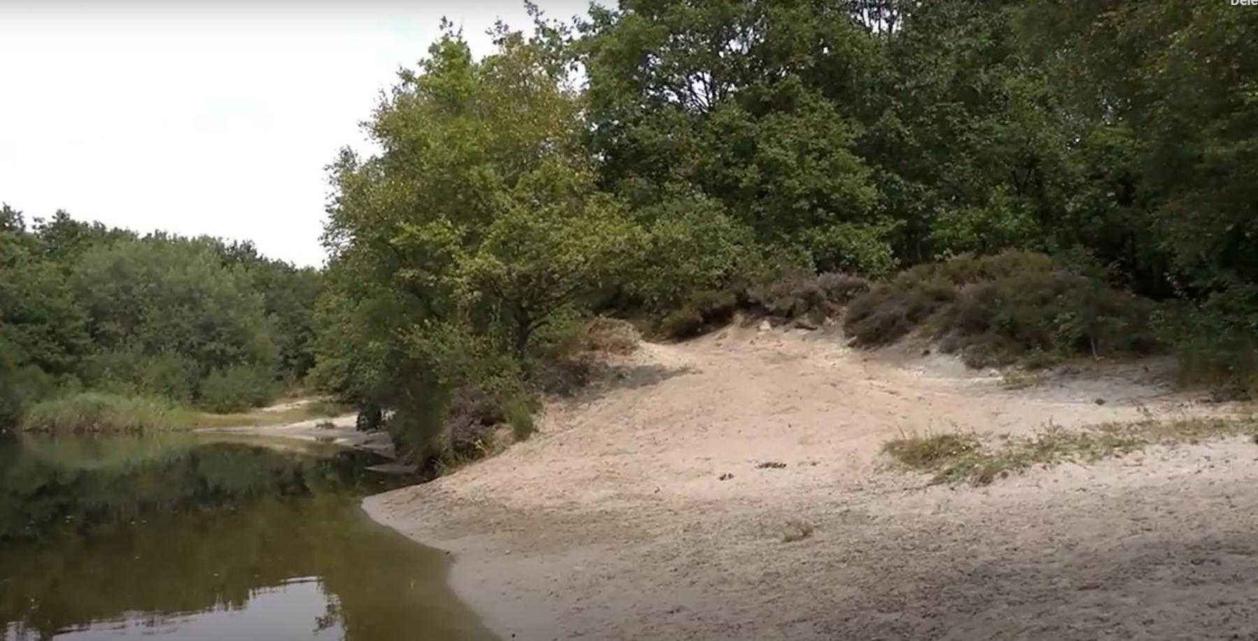 Nieuw - Luxe Blokhut Chalet In Bosrijke Omgeving Anloo Exteriör bild
