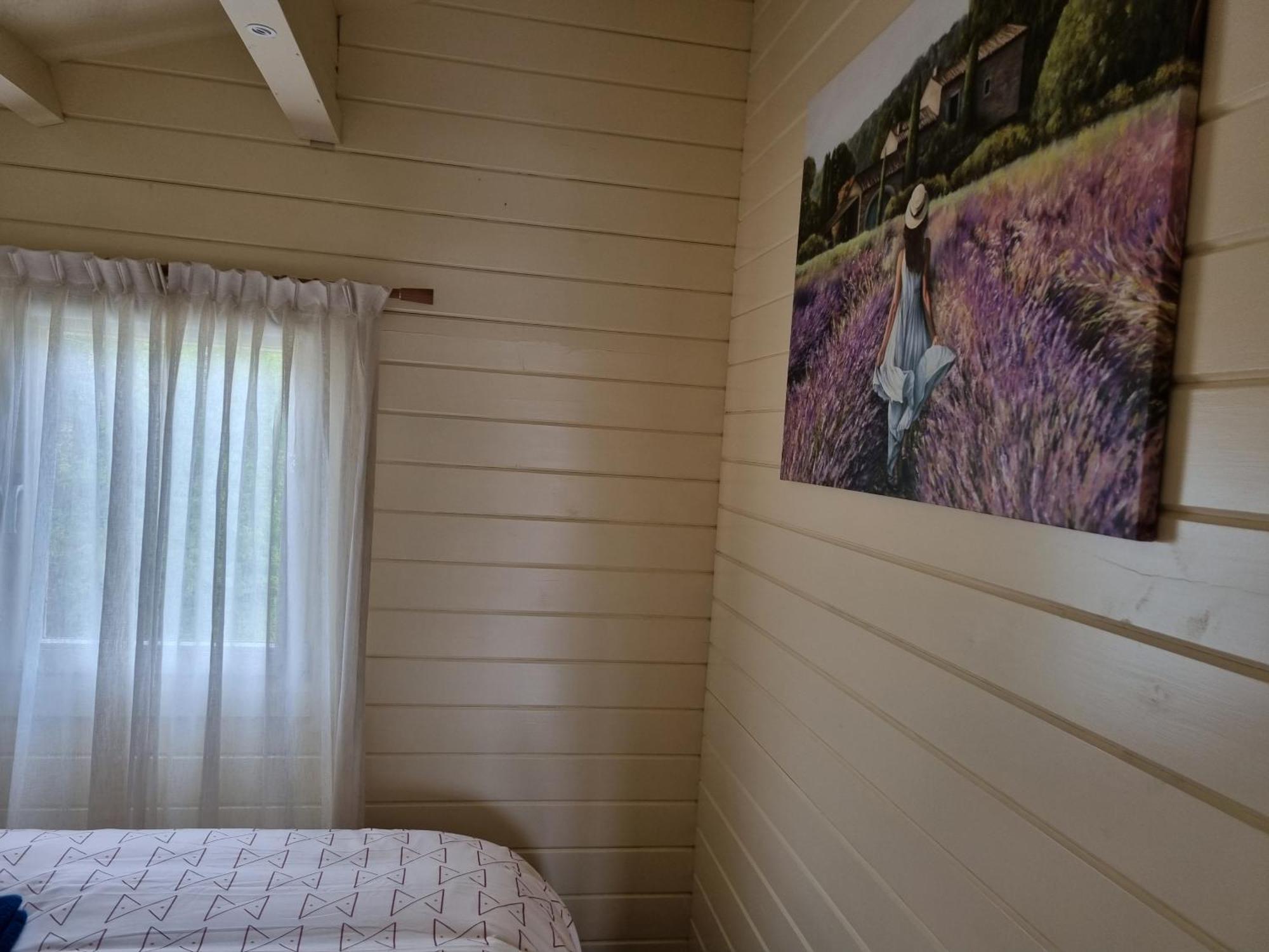 Nieuw - Luxe Blokhut Chalet In Bosrijke Omgeving Anloo Exteriör bild